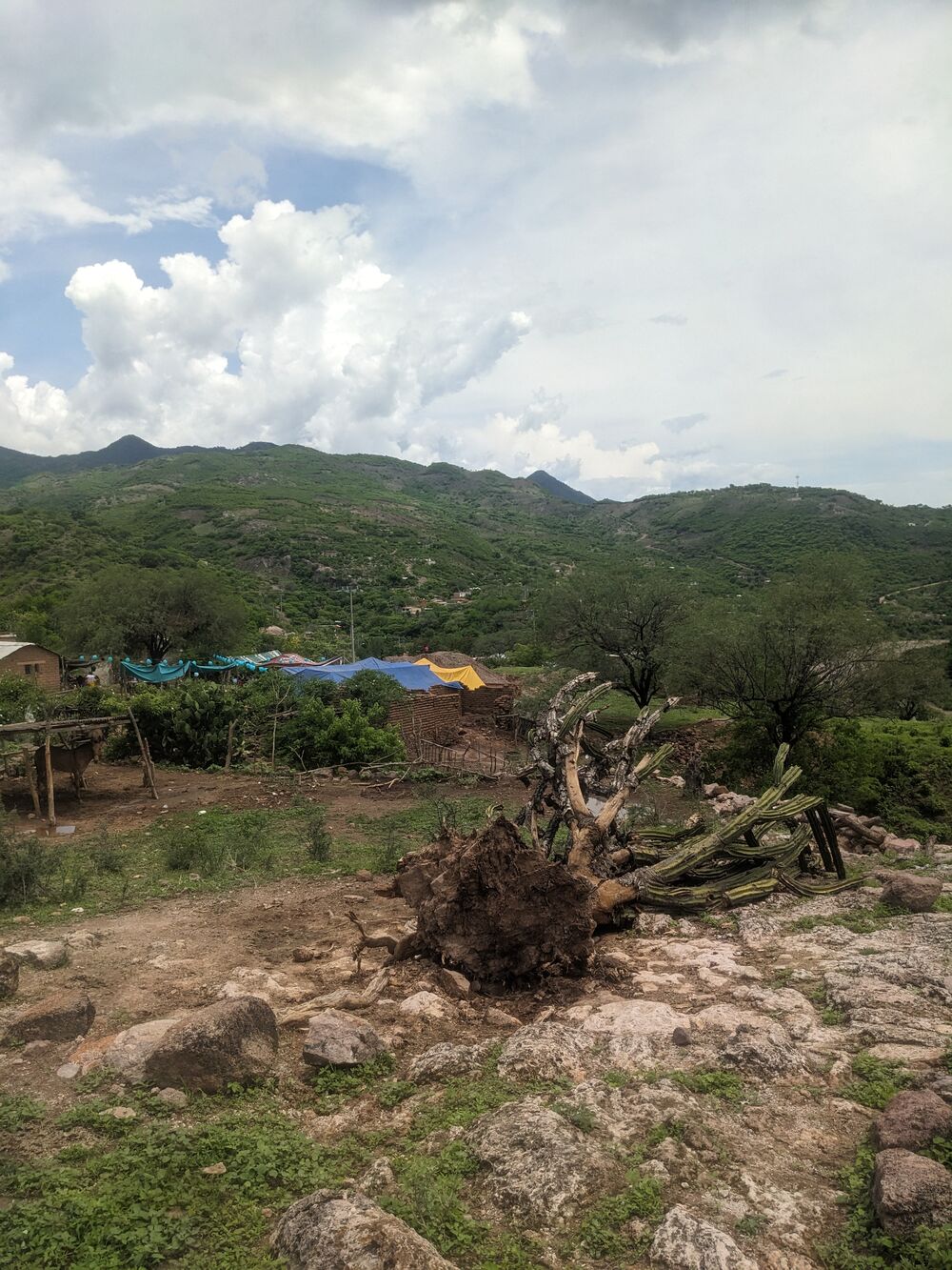 Hogar rural en la sierra